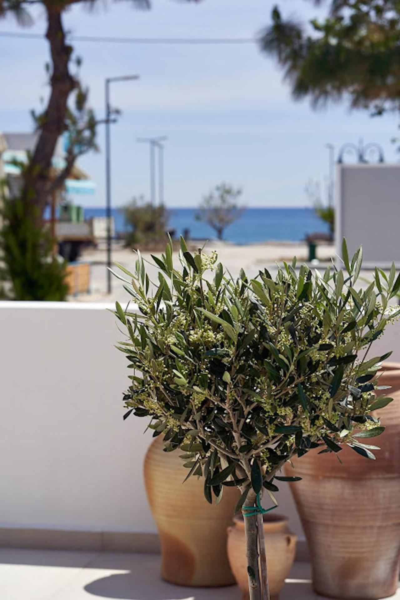 Sia Mare Seaside Apartments 팔리라키 객실 사진